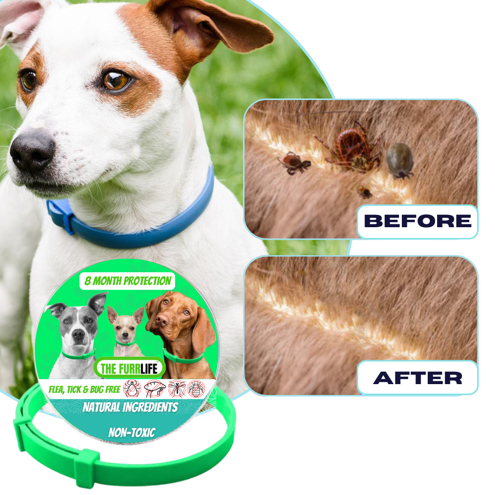 FurLife™ 8 Months Flea and Tick Free