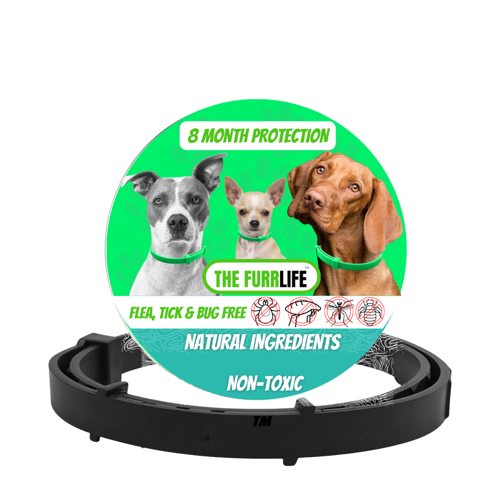 FurLife™ 8 Months Flea and Tick Free